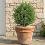Artificial cedar topiary tree