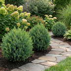 Artificial cedar topiary tree