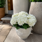 Faux Hydrangea Arrangement
